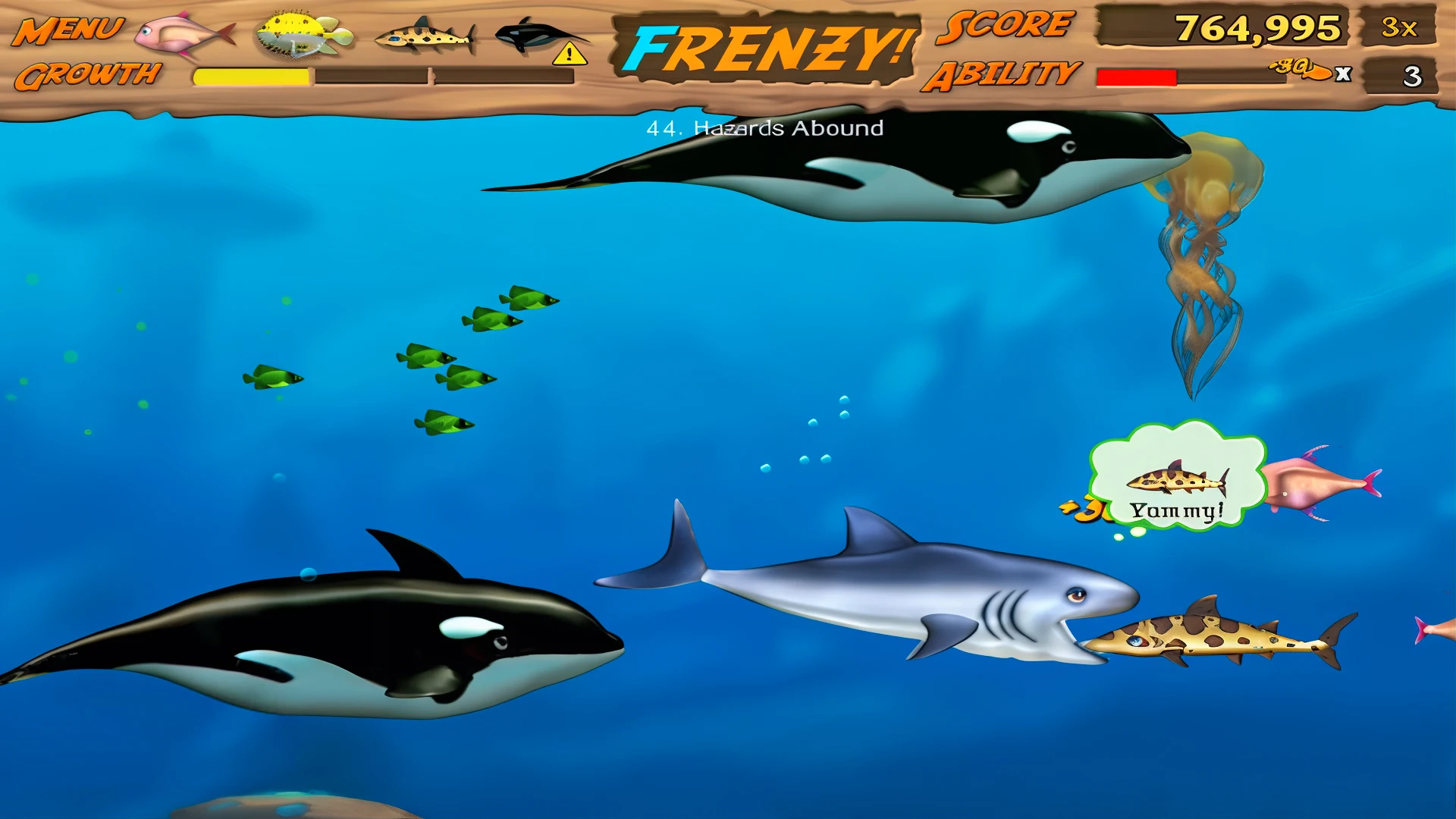 Feeding Frenzy